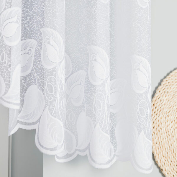 b63f88bc05cadf730eeab48df68adb9d